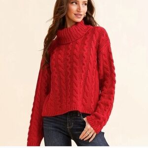 Z Supply cable knit turtleneck sweater
